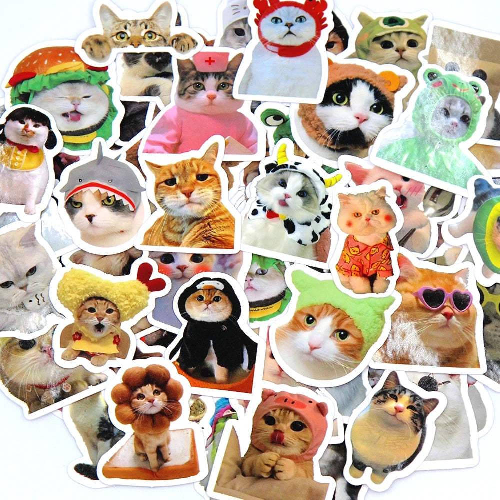 Funny Cat Sticker Pack for Laptops, Water Bottles & More