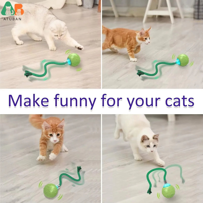 Motion-Activated Interactive Cat Toy Ball