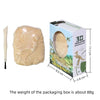 Dinosaur Fossil Excavation Kit for Kids
