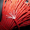 A close-up of bright red reflective paracord rope strands bundled together.
