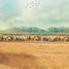 An orange Jeep Wrangler is parked on a dry, dusty terrain with mountains in the background under a cloudy sky.