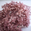 Preserved Hydrangea Flower Heads for Crafts and Home Decor