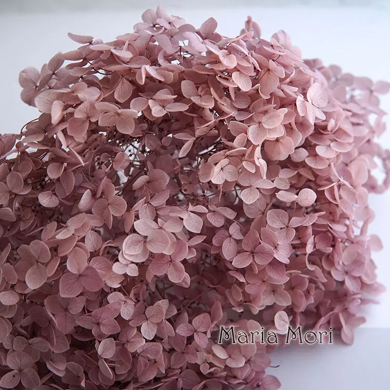 Preserved Hydrangea Flower Heads for Crafts and Home Decor