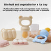 Silicone Baby Fruit Feeder with Freezer Tray Set