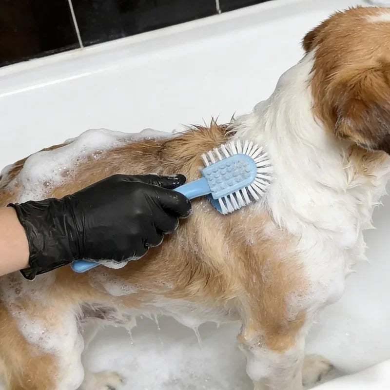 A dog is being bathed with soap and a blue brush while wearing black disposable nitrile gloves.