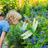 A young child is looking at a cluster of purple and blue flowers and a green dragonfly on a plant.