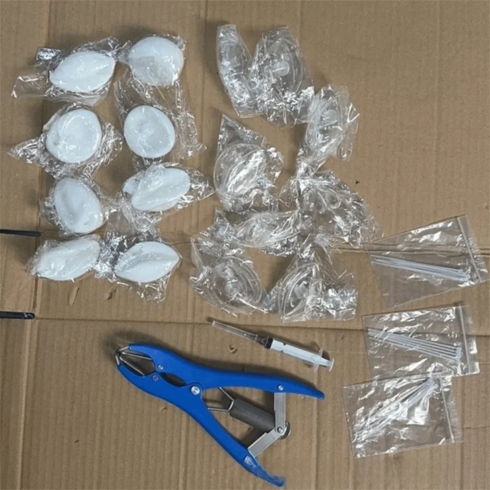 Set mit weißen Stressballen und verschiedenen Werkzeugen für DIY-Bastelarbeiten.