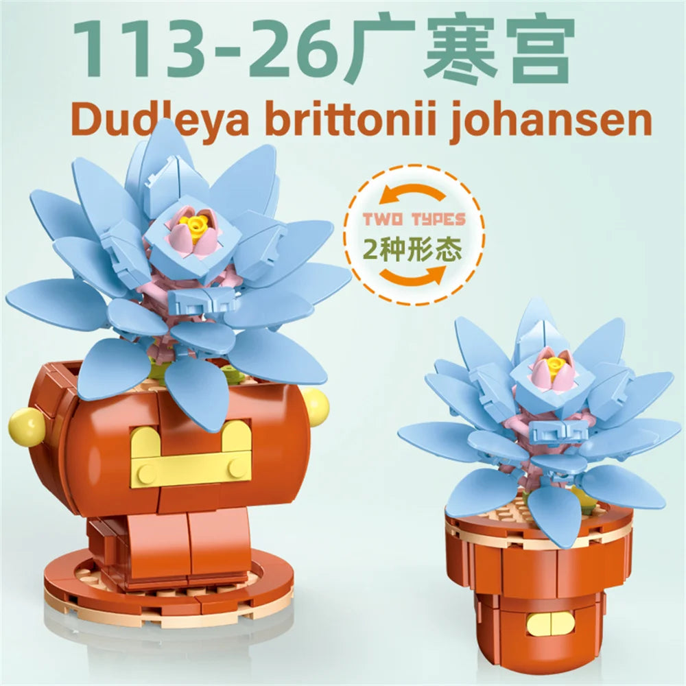 DIY Succulent Plant Building Block Bouquet