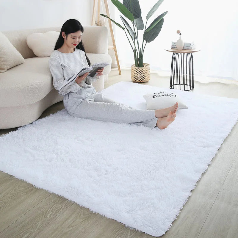 Plush Shaggy Area Rug for Living Room & Bedroom
