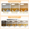 Clip-On LED Desk Lamp with Rechargeable Battery