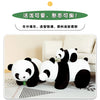 Adorable Panda Plush Toy – 20cm Soft Cuddly Companion