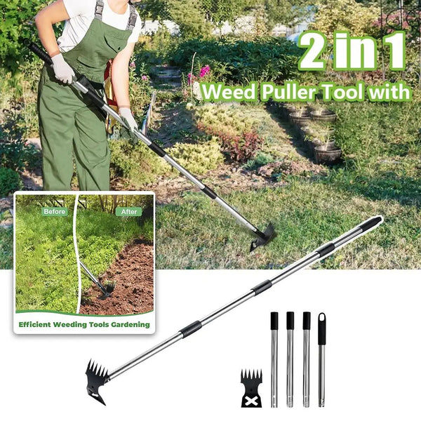 A long handle 2-in-1 weed puller tool with a hoe and rake shown in use for gardening.