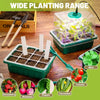 Seed Starter Tray with LED Grow Light