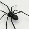 A realistic black spider with long legs is shown against a white background.