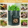 Peek-a-Boo Plant Grow Bags with Harvest Window