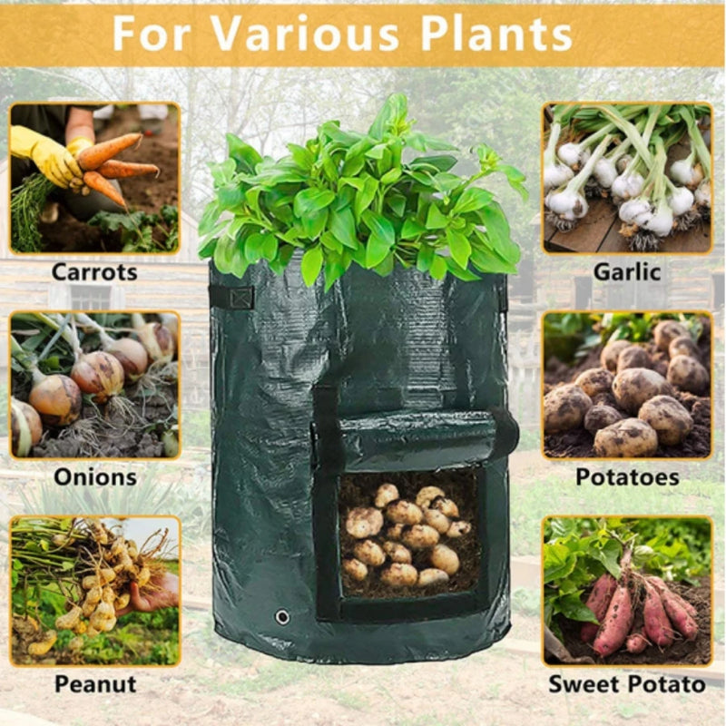 Peek-a-Boo Plant Grow Bags with Harvest Window