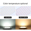 Comparison of cold white and warm white LED flood light options for outdoor use.