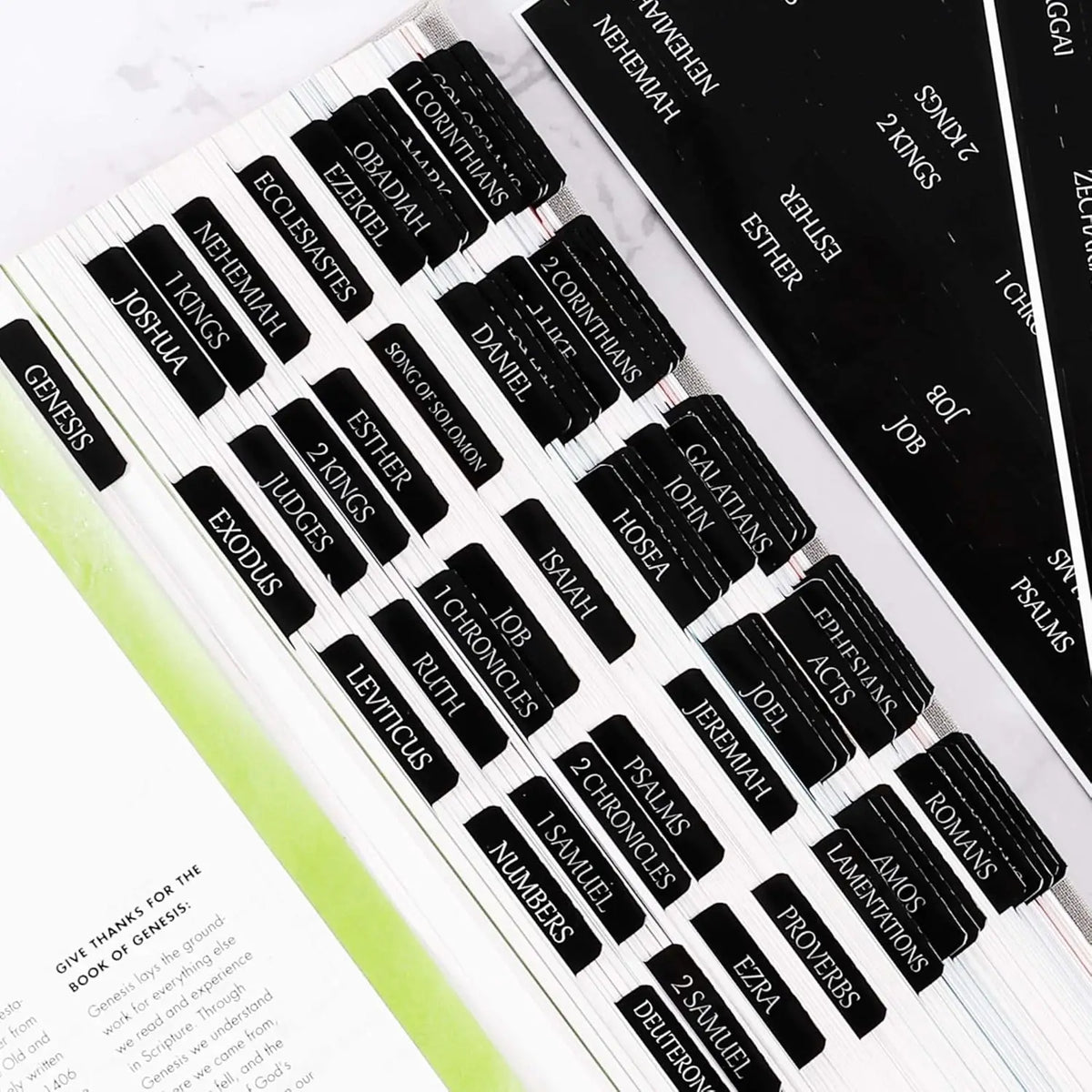 Large Print Repositionable Bible Tabs with Laminated Finish