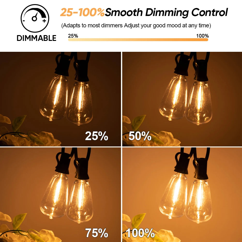 A set of solar string lights demonstrating dimming control from 25% to 100% brightness.