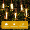 String lights featuring vintage Edison bulbs designed to be waterproof, heat resistant, and frost resistant.