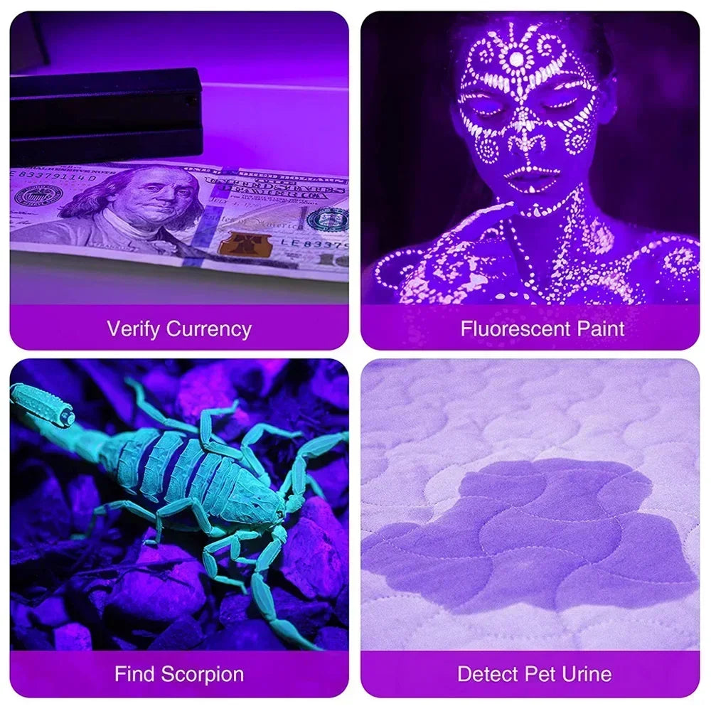 Four panels showing a 395nm UV flashlight used to verify currency, detect scorpion, and detect pet urine.
