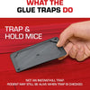 A hand holds a black glue trap designed to trap mice and household pests.