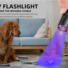 A hand holds a purple UV flashlight emitting light onto a dog, used to detect stains and spots.