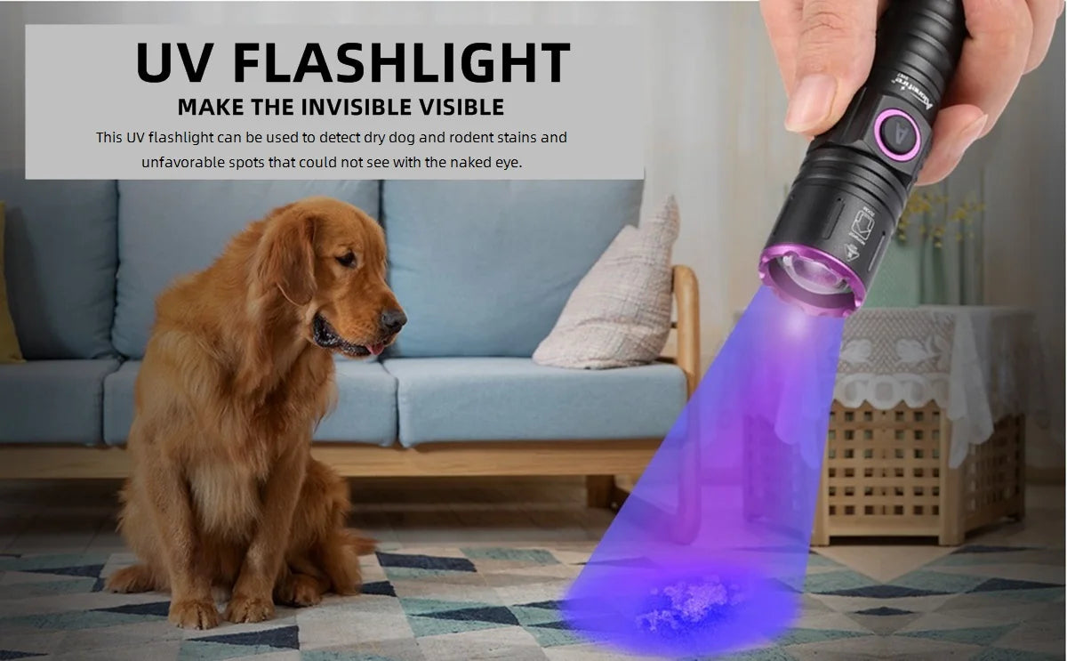 A hand holds a purple UV flashlight emitting light onto a dog, used to detect stains and spots.
