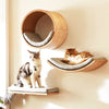 Wall-Mounted Wooden Cat Climbing Shelf with Sisal Scratching Post