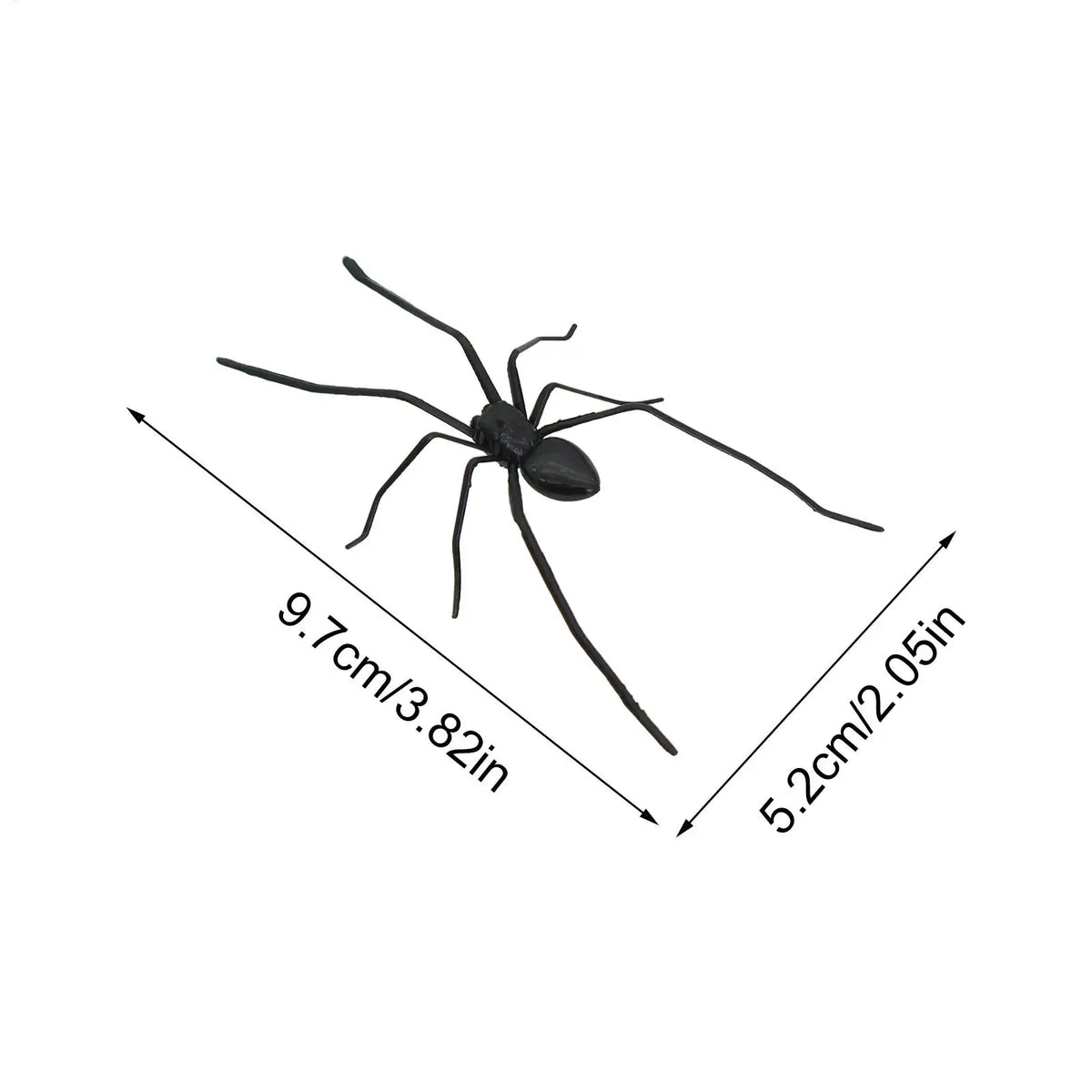 A realistic black spider is shown with measurements indicating its size.