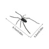 A realistic black spider is shown with measurements indicating its size.