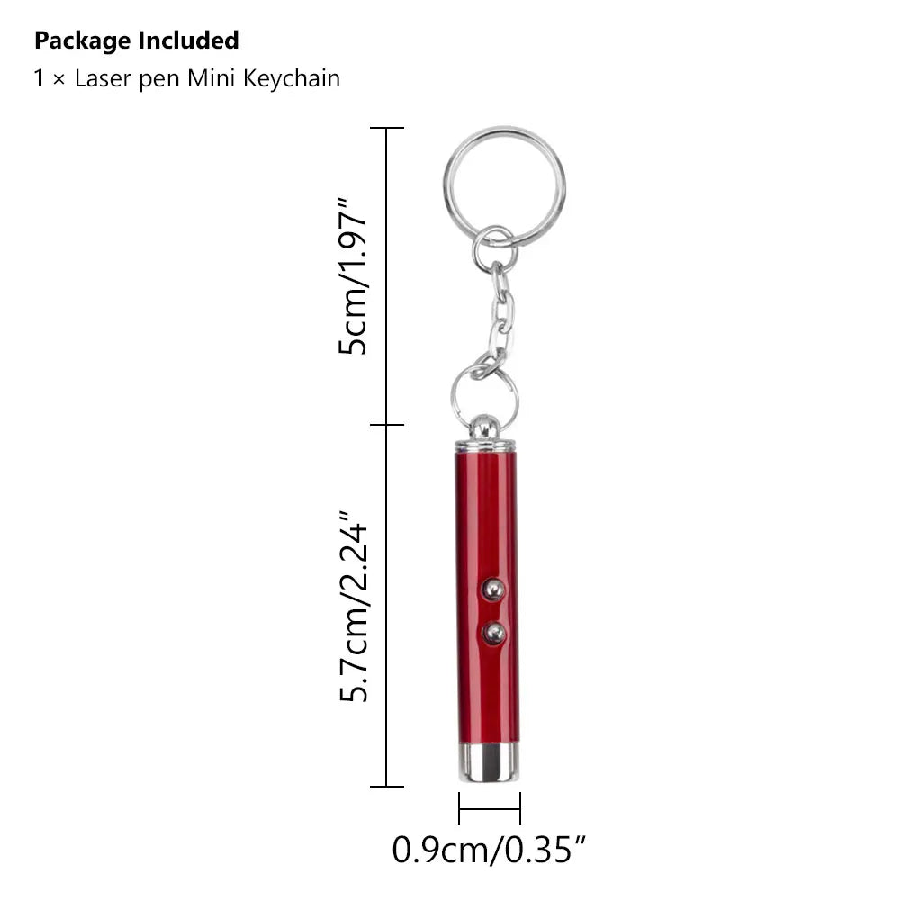 Pocket Laser Pointer & LED Flashlight Keychain