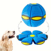 Interactive Transforming Flying Saucer Dog Toy – Durable & Fun