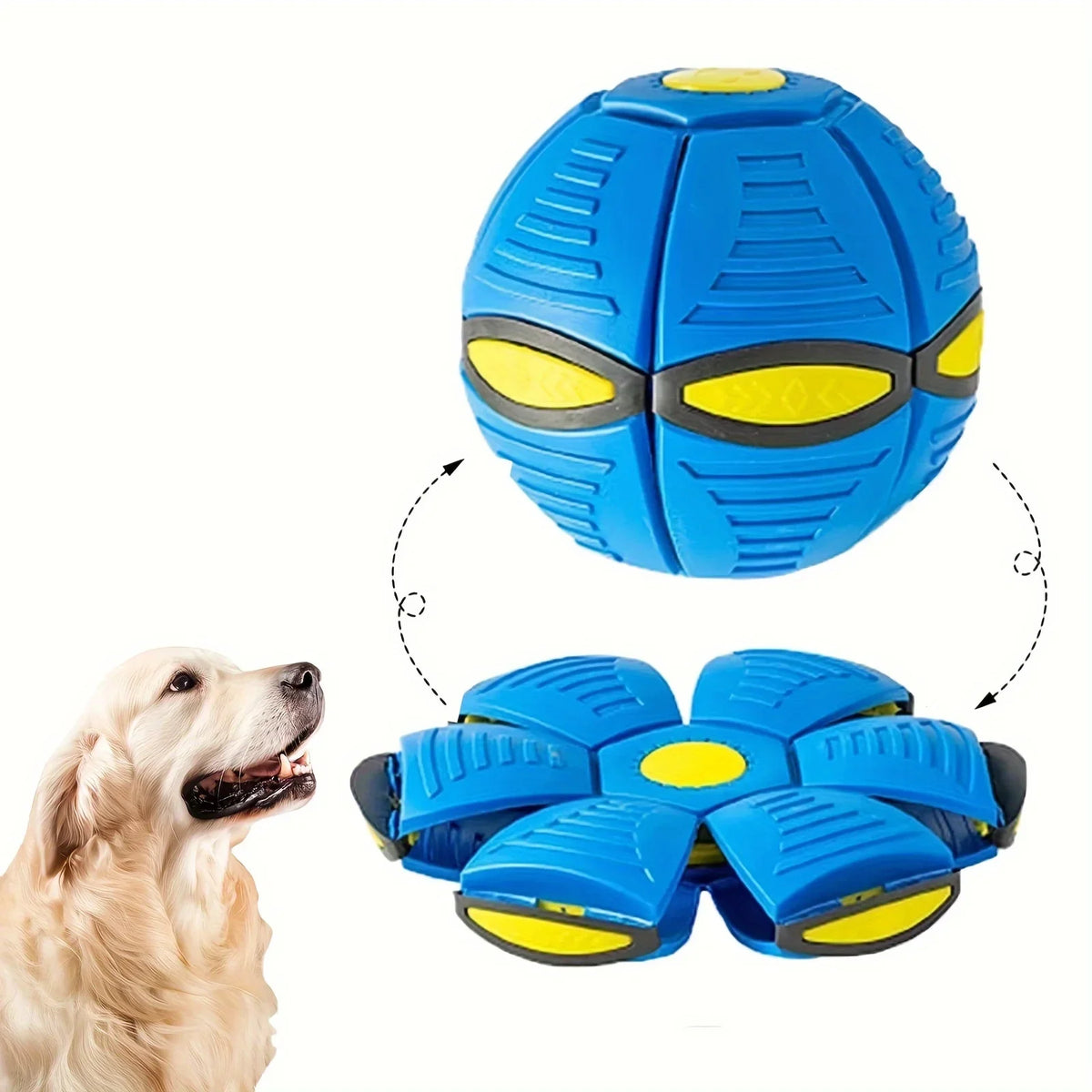 Interactive Transforming Flying Saucer Dog Toy – Durable & Fun