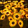 Lumière de Jardin en Soleil Levant LED à Énergie Solaire