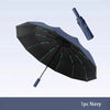 A black umbrella with a navy canopy and handle is shown open against a light gray background.