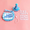 A blue felt birthday hat with a pom-pom and a matching blue plaid bib for a pet.