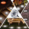 Solar Pathway Lights - Weatherproof Stainless Steel & ABS