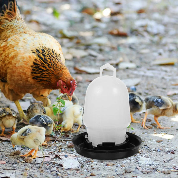Bebedero Automático para Aves por Gravedad
