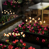 Solar Bee Garden Light