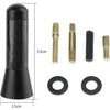 Compact Black Car Radio Antenna with Adapter Screws