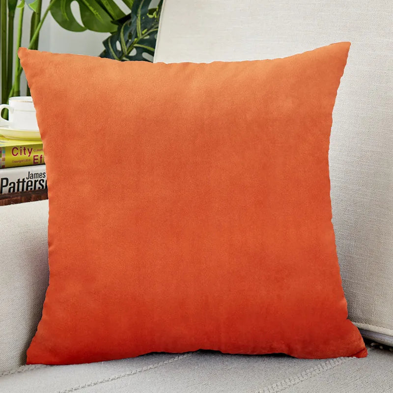 Velvet Throw Pillow Cover for Sofa and Bed Decor