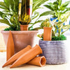 Terracotta Self-Watering Plant Stakes