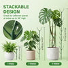 Stackable Monstera Plant Support Poles with Ties