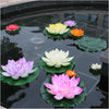 A collection of vibrant pink, yellow, and purple lotus flowers floating on dark water in a pond or garden.