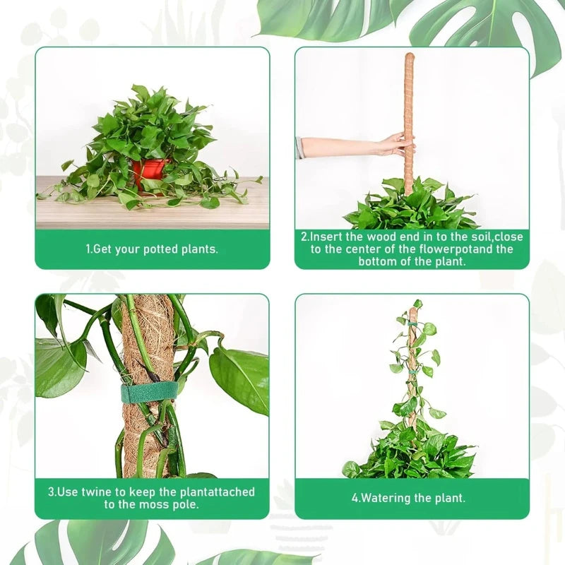 80cm Bendable Coco Coir Moss Pole for Climbing Plants