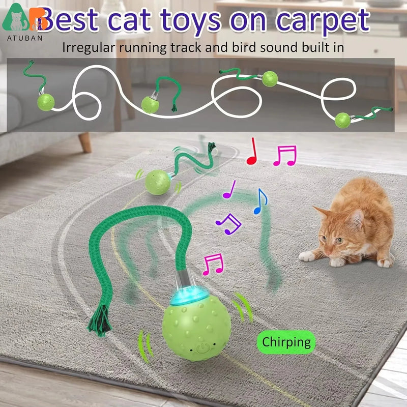 Motion-Activated Interactive Cat Toy Ball