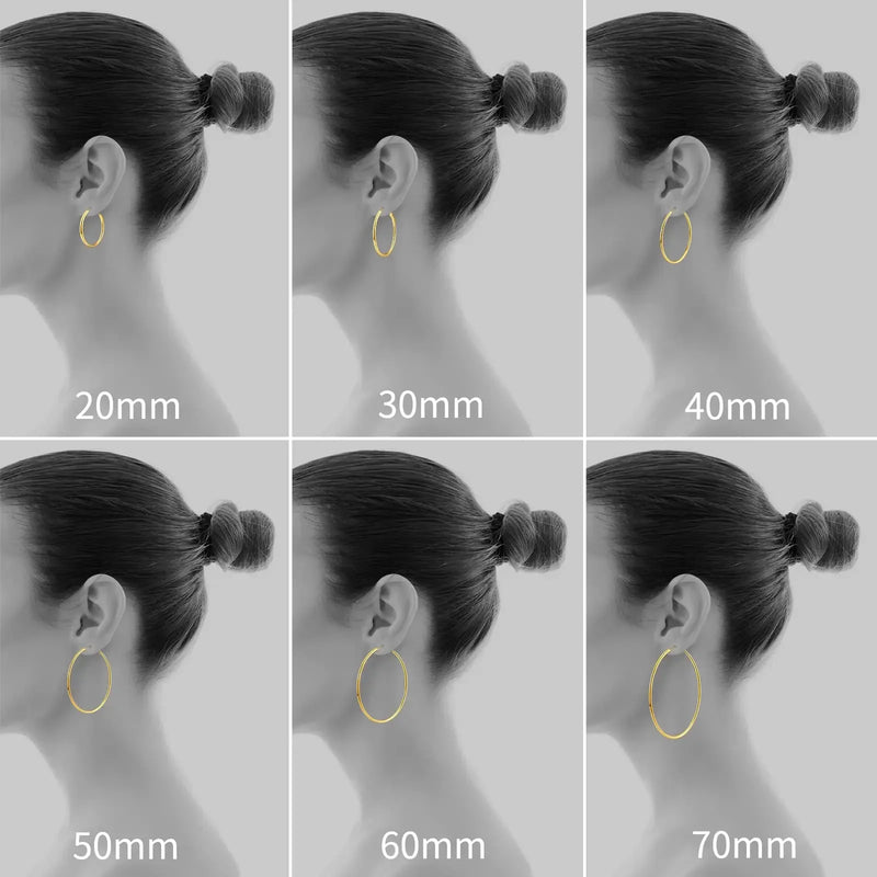 18K Gold Plated Stainless Steel Hoop Earrings