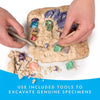 Hands excavating genuine gemstone crystals from a light-colored rock using included tools.