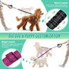 Dual Dog Leash with Shock-Absorbing Bungee
